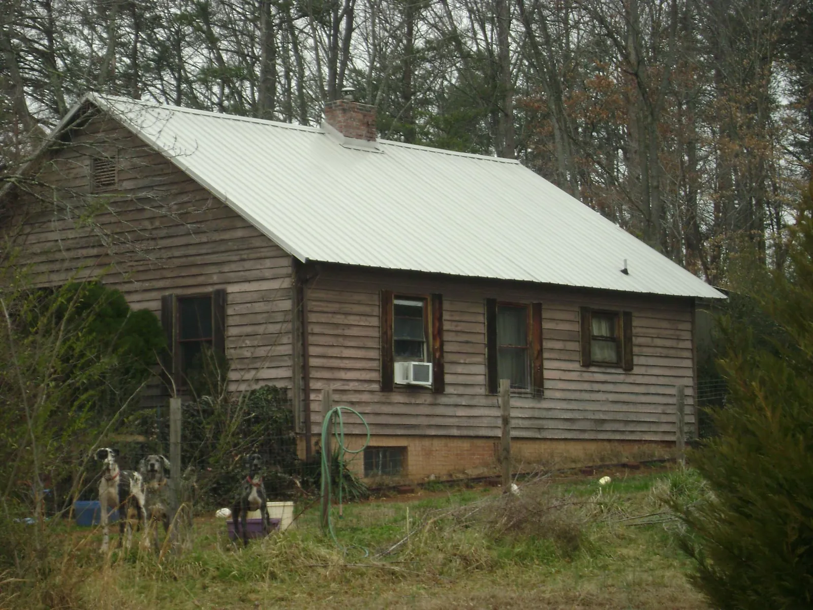 White metal roof on an old wood sided farmhouse, from a Asphalt Shingle Roof Repair job in South Solon